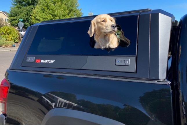 RSI Smart Canopy lifting window for dog