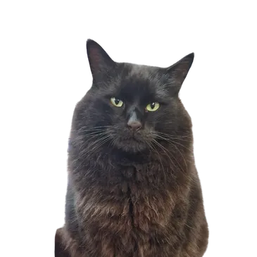 Boris