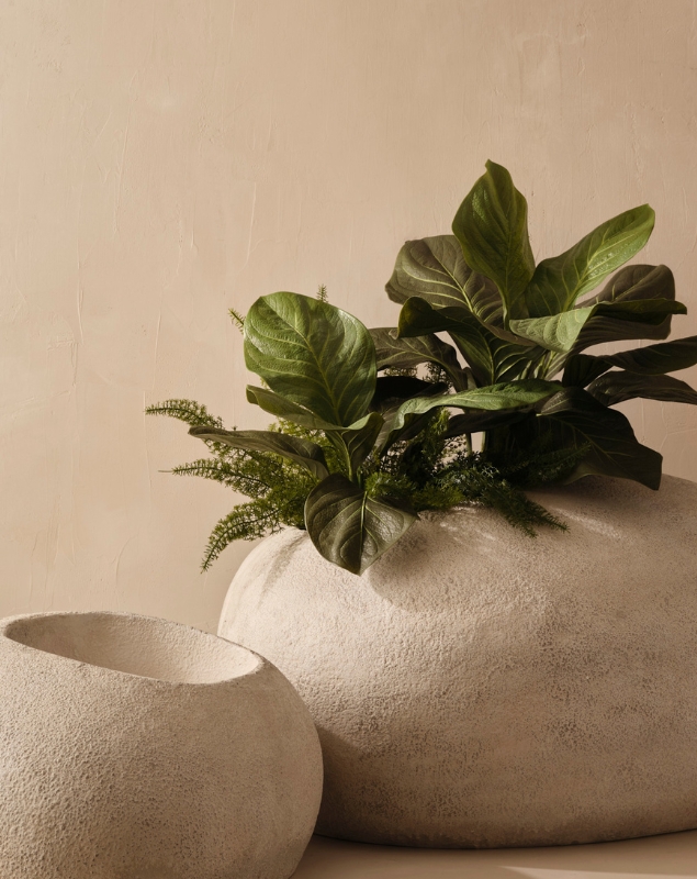 SS27_Evergreen