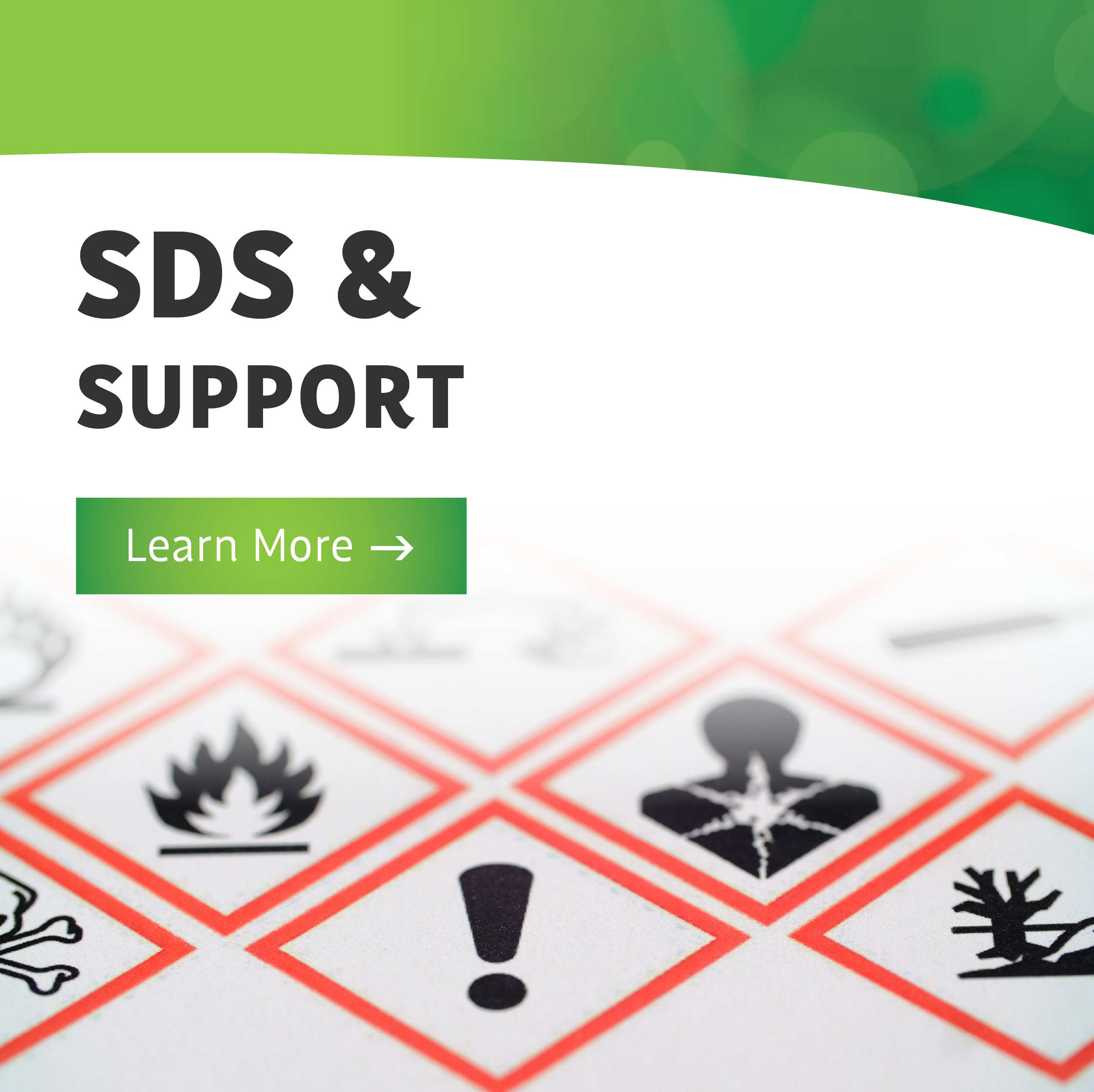 SDS