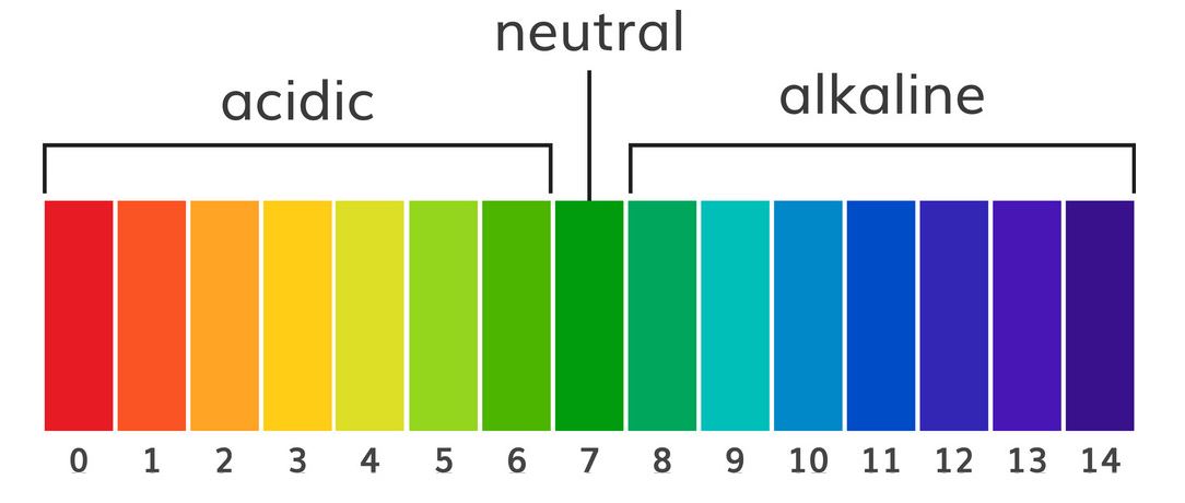 What You Should Know About the pH Scale  Janitorial Training and Resources  for cleaning companies