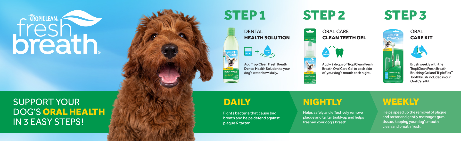Pet Dental Health Example