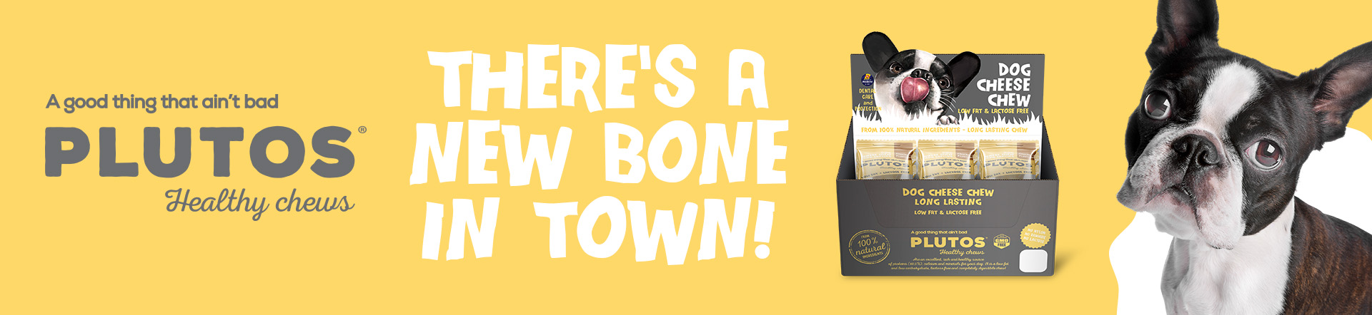 Pluto's Healthy Chews Banner