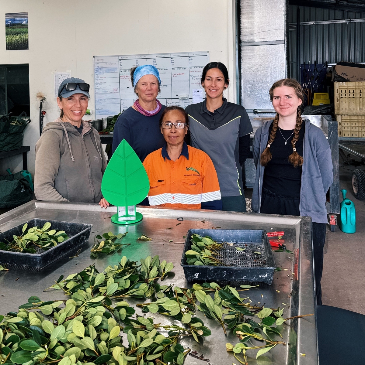 Propagation Propagation